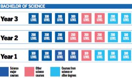 Undergraduate (Bachelor) Degrees | Study Options